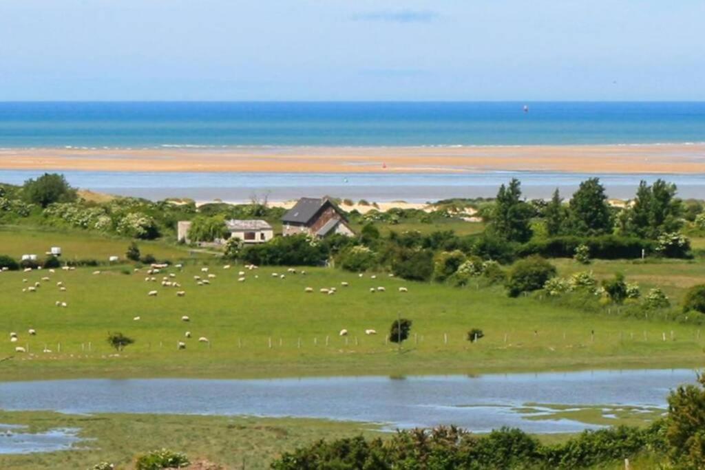 Maison Au Pied Des Dunes, 200M De La Plage Montmartin-sur-Mer Bagian luar foto